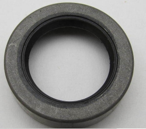 0309733, САЛЬНИК