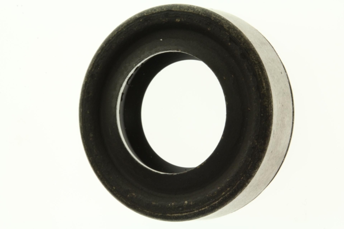 313284, САЛЬНИК, Гребной Винт