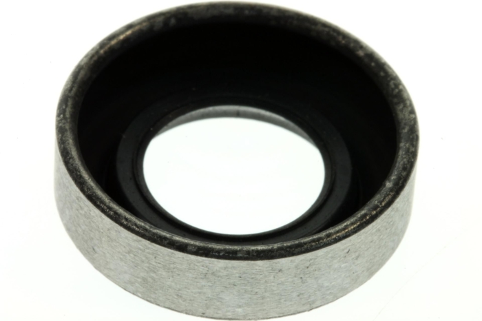 318972, САЛЬНИК