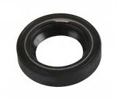 5031266, САЛЬНИК