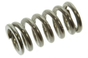 5030169, ПРУЖИНА