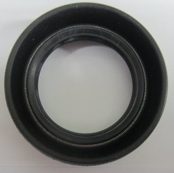 312389, САЛЬНИК