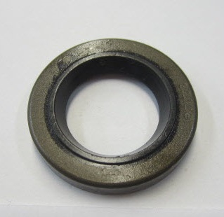 0321831, САЛЬНИК, Верх