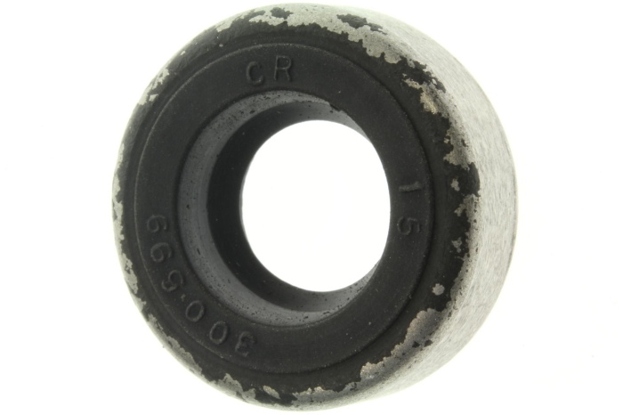 0327031, САЛЬНИК