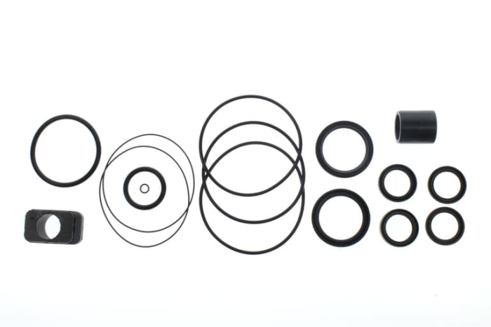 3856002, САЛЬНИКИ, КОМПЛЕКТ, РЕДУКТОР 3856002, САЛЬНИКИ, КОМПЛЕКТ, РЕДУКТОР