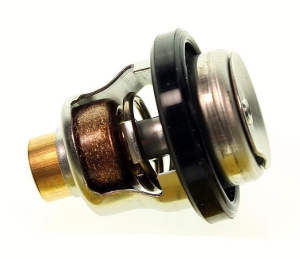 5030742, ТЕРМОСТАТ, 50° C (optional)