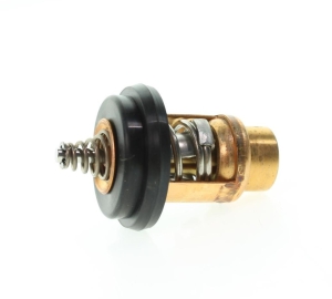 5040958, ТЕРМОСТАТ